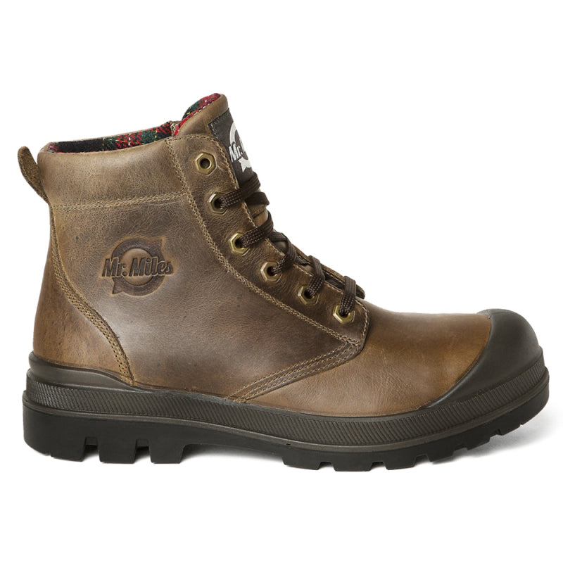 Mr. Miles Tasman 32403 S3 Bruin