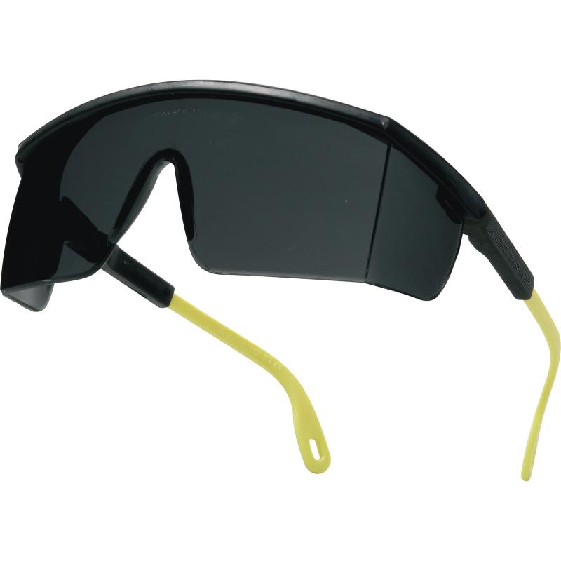 Deltaplus Glasses Kilimandjaro Dark